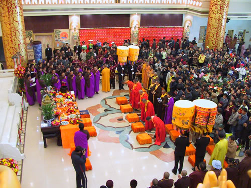 �D5�����»��