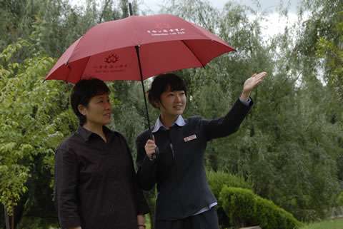 �D2�����