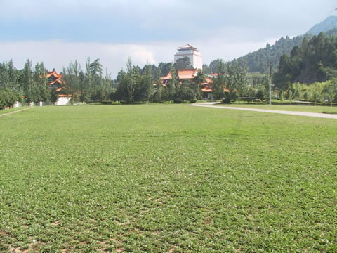 �D4��ͣ܇��