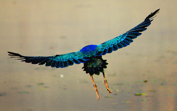 �Q�c &mdash; С�B������ - xiaofang - ��ŵĲ���