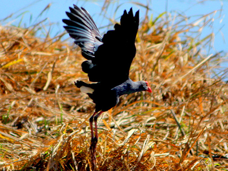 �Q�c &mdash; С�B������ - xiaofang - ��ŵĲ���