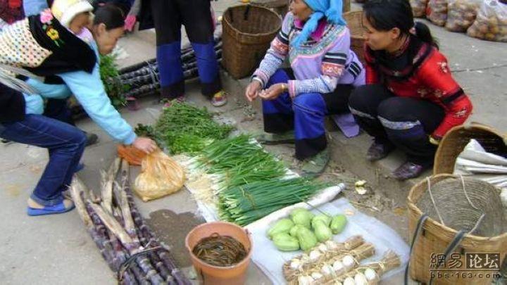 �W(w��ng)�ь��ģ�ˬ���˵�������ʳ������ˬ�D�� - hanwa - ���`�ļ҈@