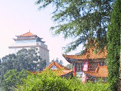 2013����ɽ���� �P(gu��n)��(��i)�Є�(d��ng)